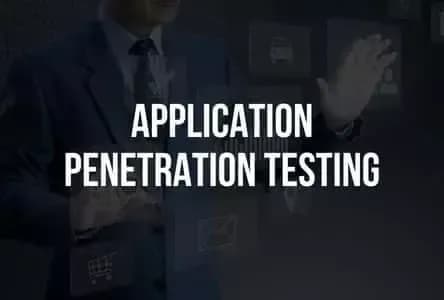 Application Penetration Testing Service