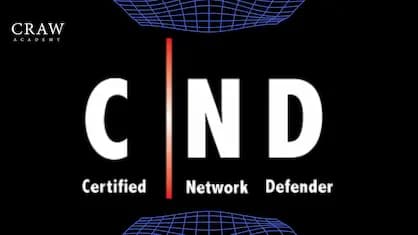 certified network defender