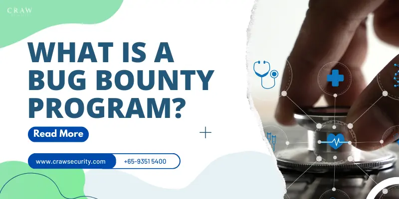 What is a Bug Bounty Program? How It Works [2024]