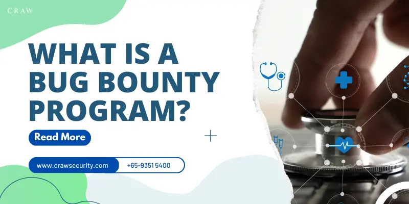 What is a Bug Bounty Program? How It Works [2025 Updated]