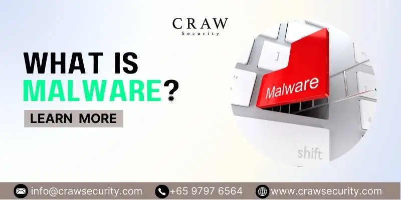 What is Malware? Define, Types, Dangers, and Protection Methods