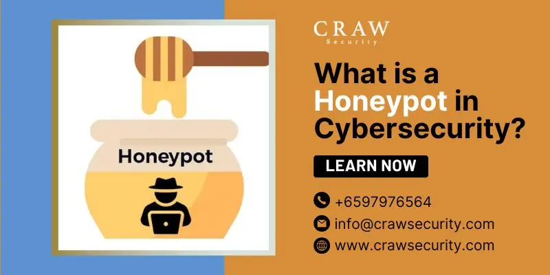 What is a Honeypot in Cybersecurity? Learn the Basics