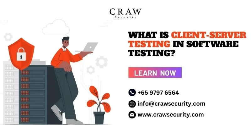What is Client-Server Testing in Software Testing?
